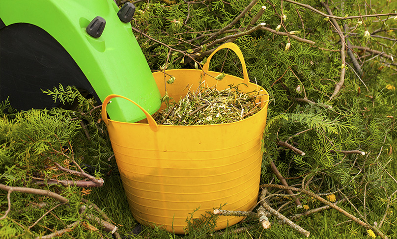 Put trimmings and organic waste to work in the compost heap