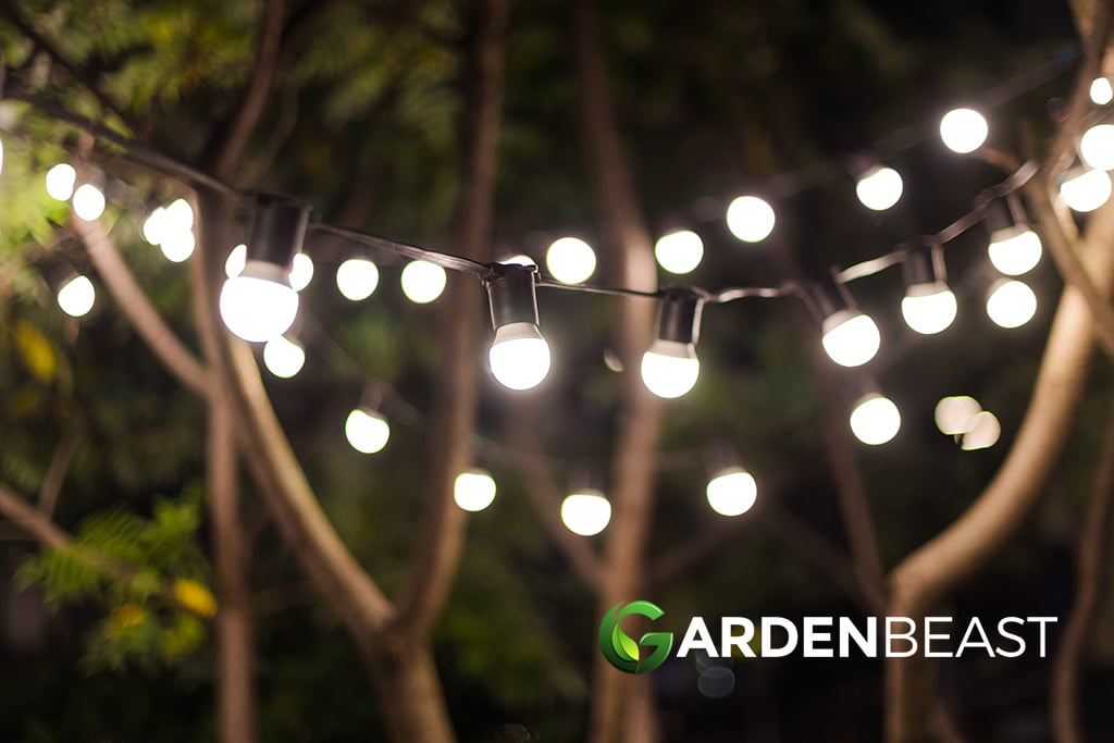Best Solar String Lights Reviews: Complete Buyer’s Guide