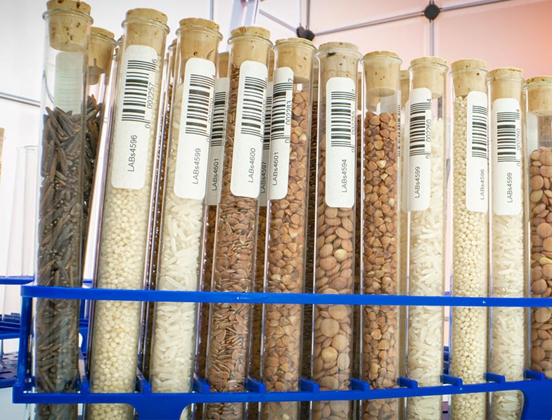 Seeds labeled & stored in test tubes