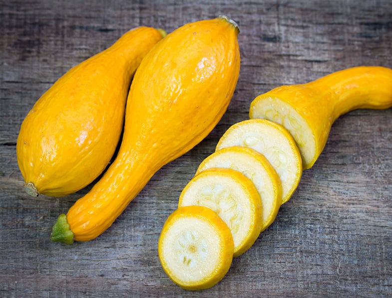 Summer Squash