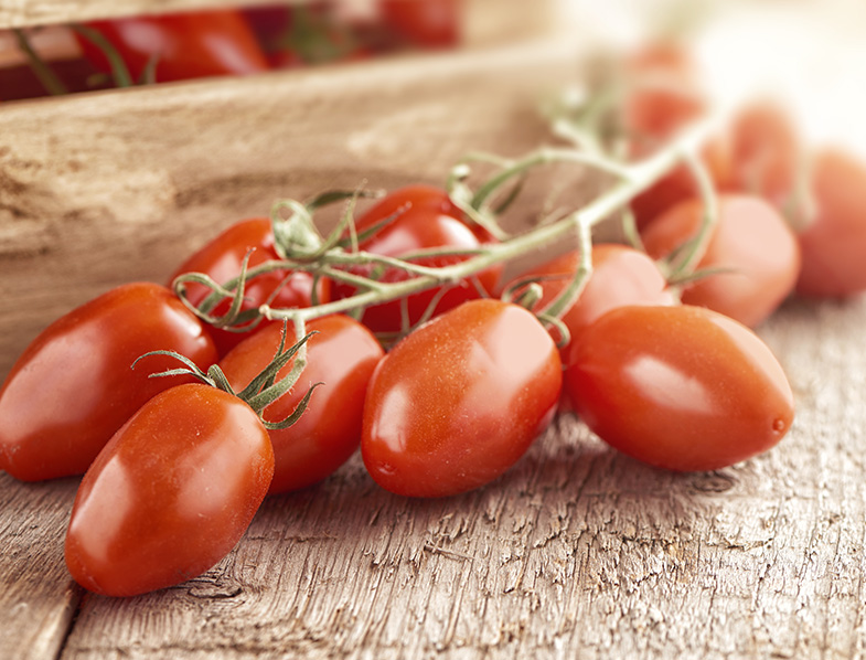 The art of growing San Marzano tomatoes