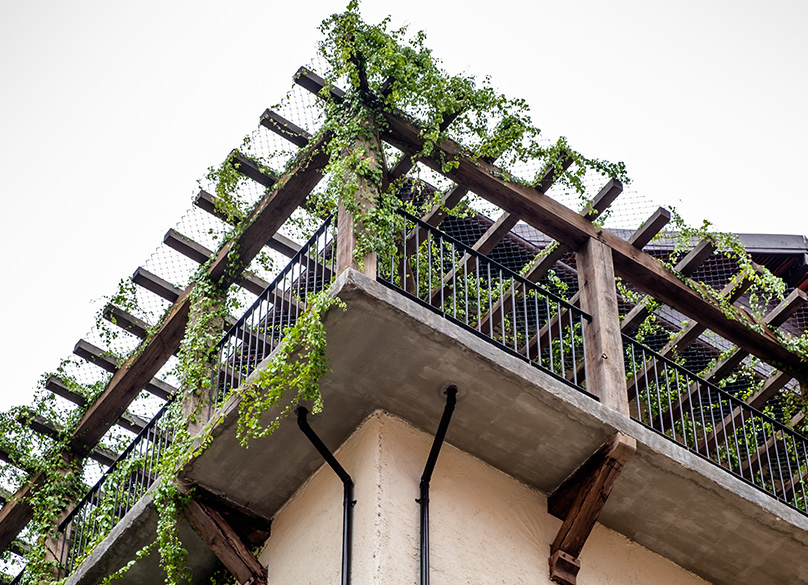 Add a Trellis for climbing plants