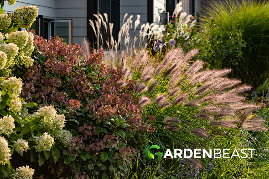 Types of Grasses to Grow: Edible, Medicinal, Decorative & Ornamental