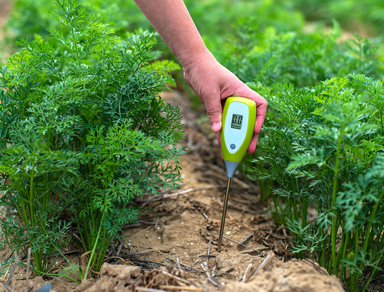 Soil pH