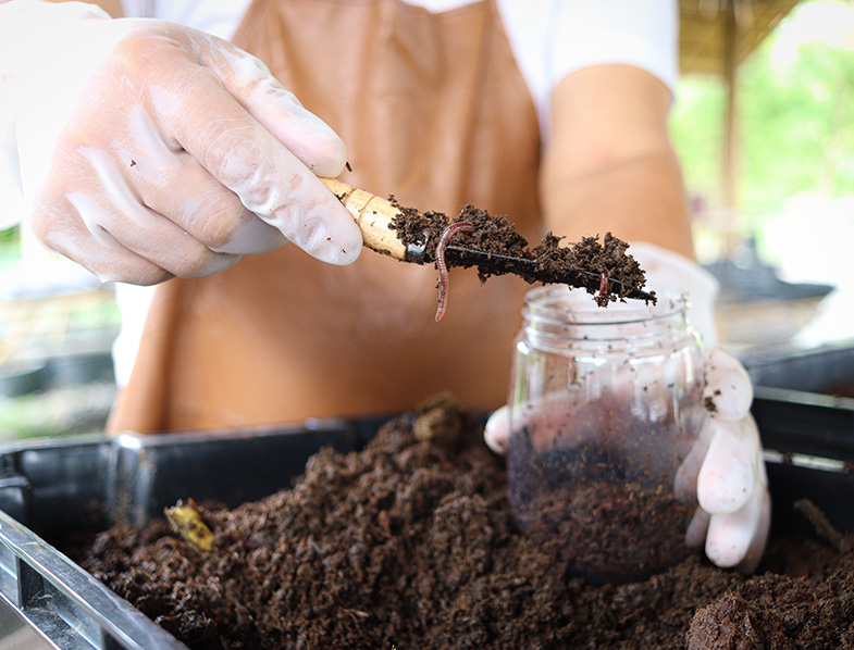 Worm Farming