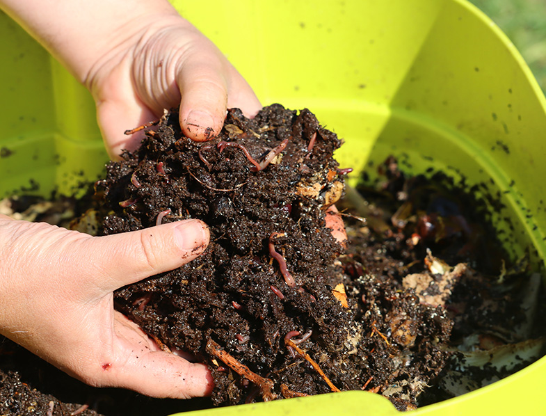 Worm Farming