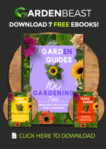 Download Free eBooks