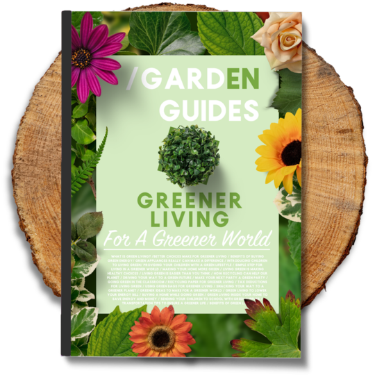 Greener Living eBook