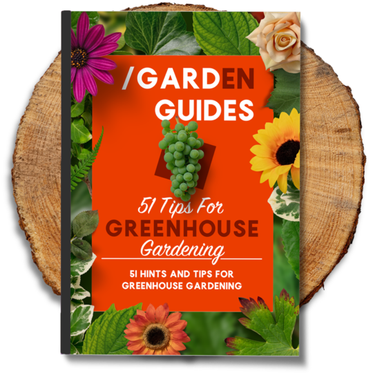Greenhouse Gardening eBook