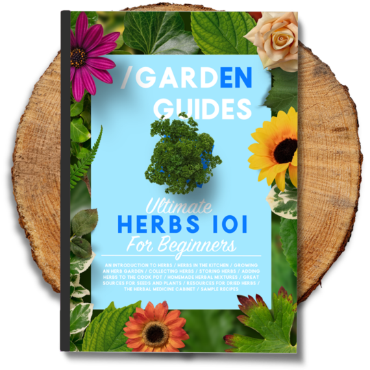 Herbs eBook